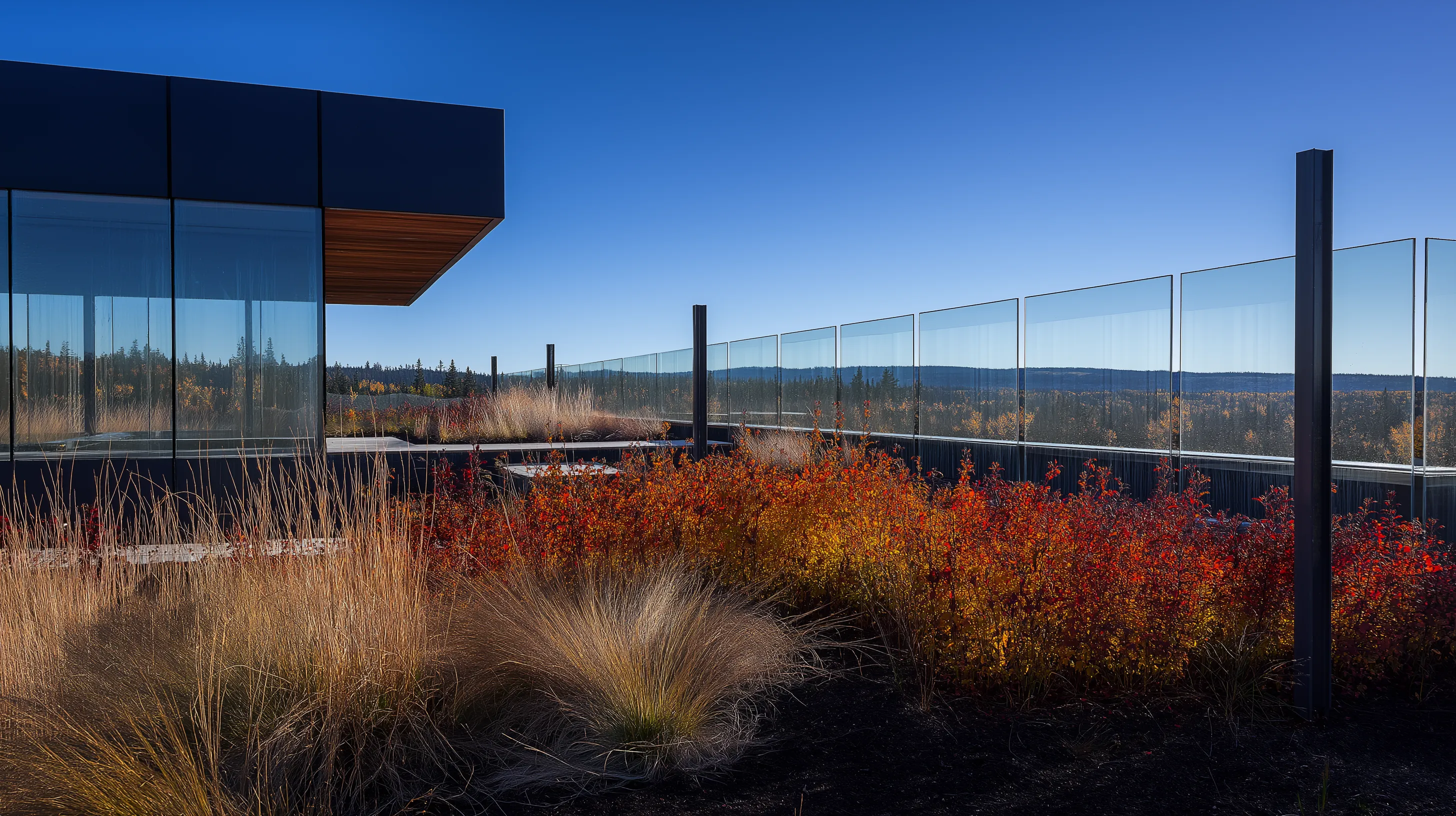 Rendering of the 90,000-square-foot publicly accessible rooftop park overlooking Fairbanks